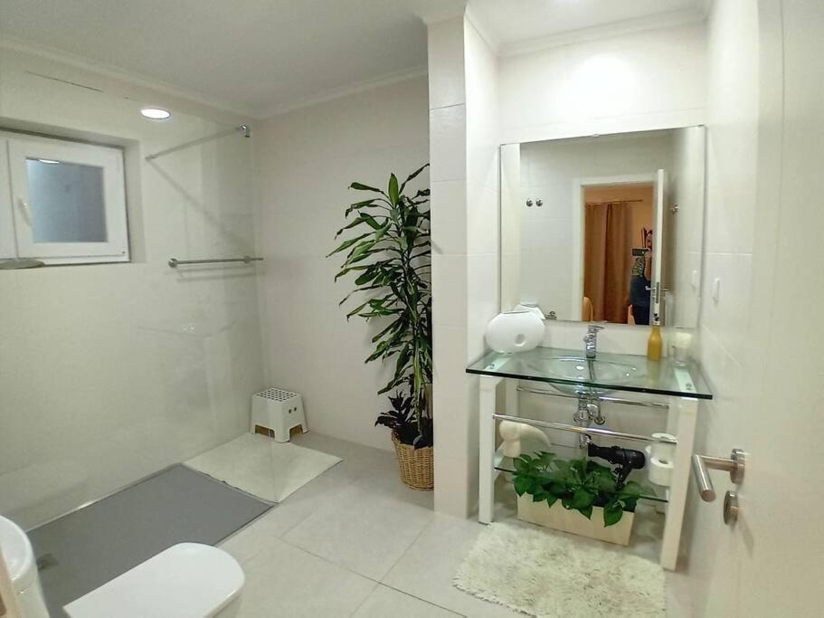 Homestay Casa Jasmim Algueirao-Mem Martins